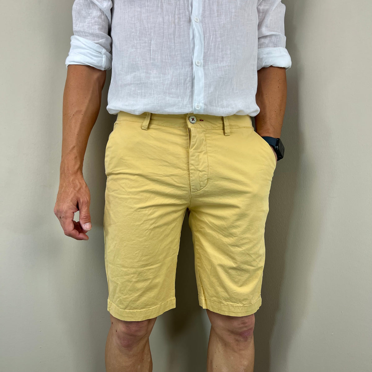 STEVEN - bermuda cotone